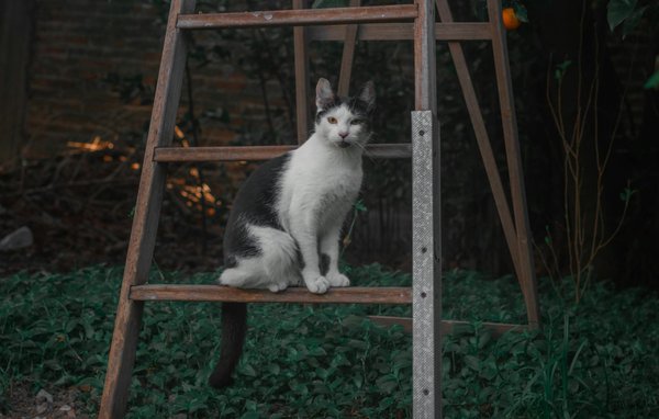 What are the ethical considerations in UK artificial intelligence development?